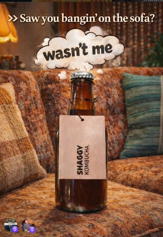 Botella de Shaggy Kombucha sobre un sofá vintage